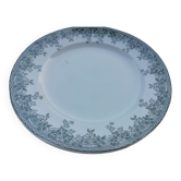 Iron earth dish