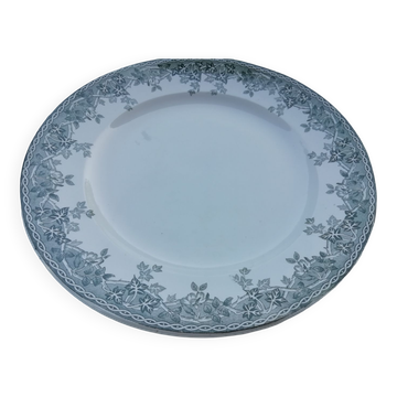 Iron earth dish