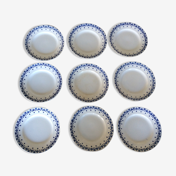 9 assiettes plates