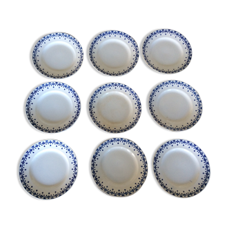 9 assiettes plates