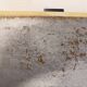 Table basse fifties