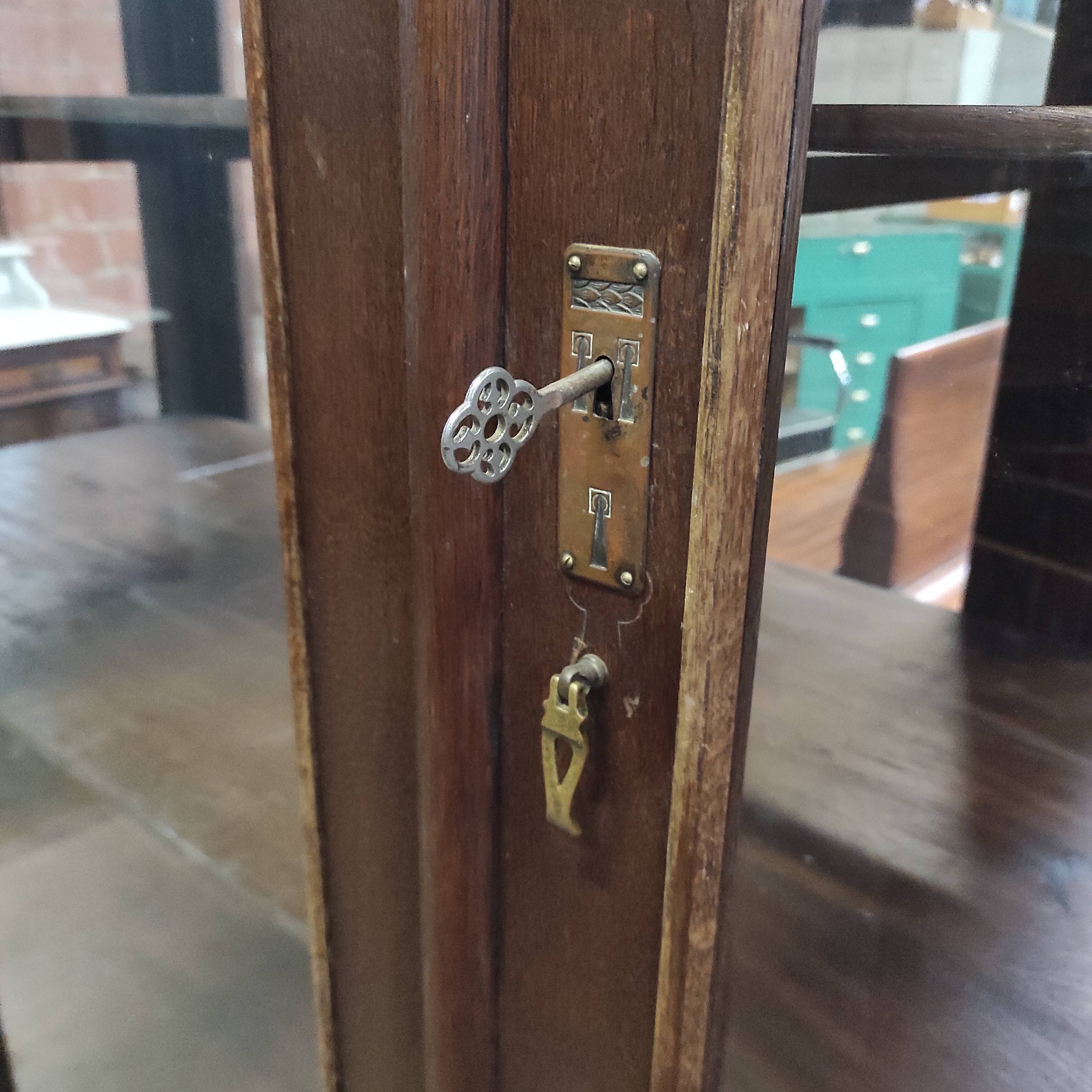 Vitrine de musée 6 tiroirs, vers 1900