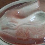Terracotta terrine