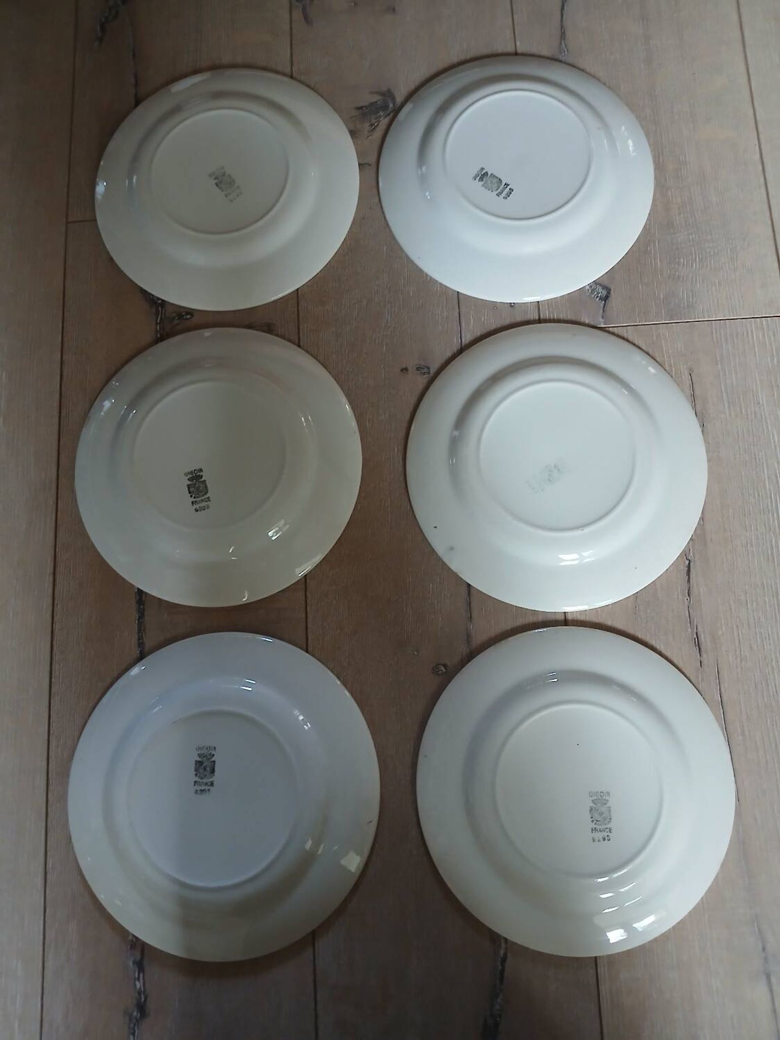 6 old Digoin and Sarreguemines dinner plates