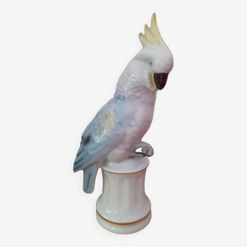 Perroquet en porcelaine allemande
