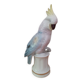 German porcelain parrot