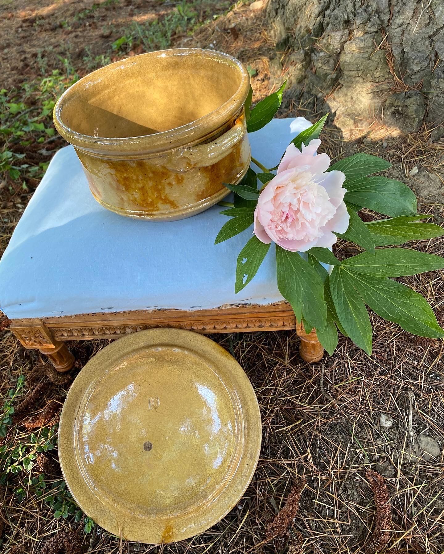 Old glazed terracotta vegetable