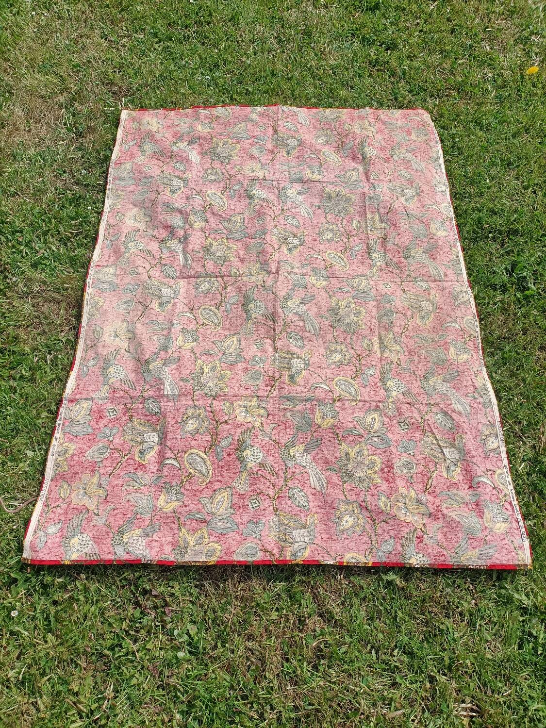 Tablecloth