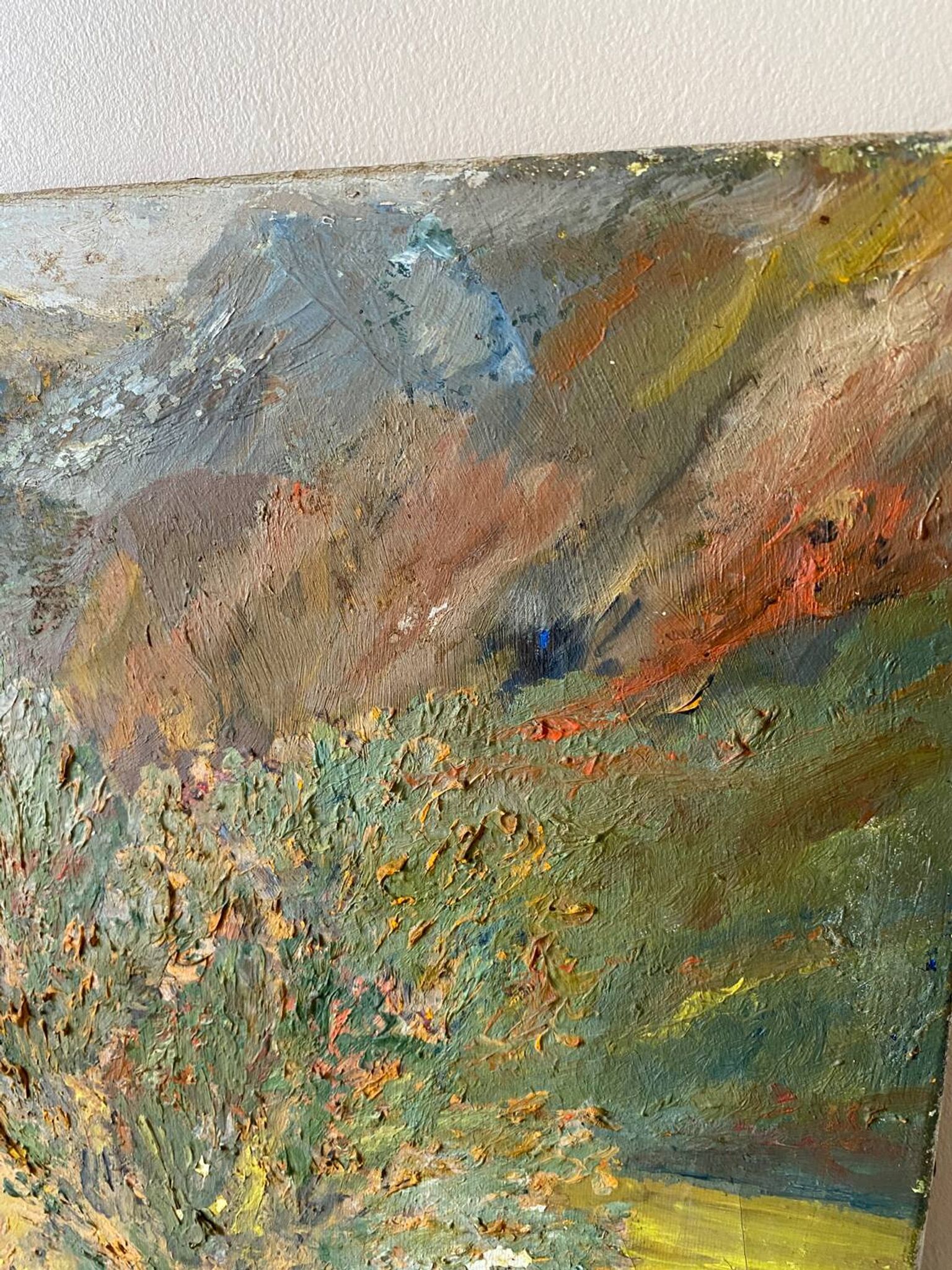 Oil on canvas mountain and river 1965