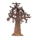 Bronze baobab