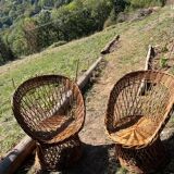 Pair of wicker armchairs