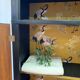 Eco art cabinet