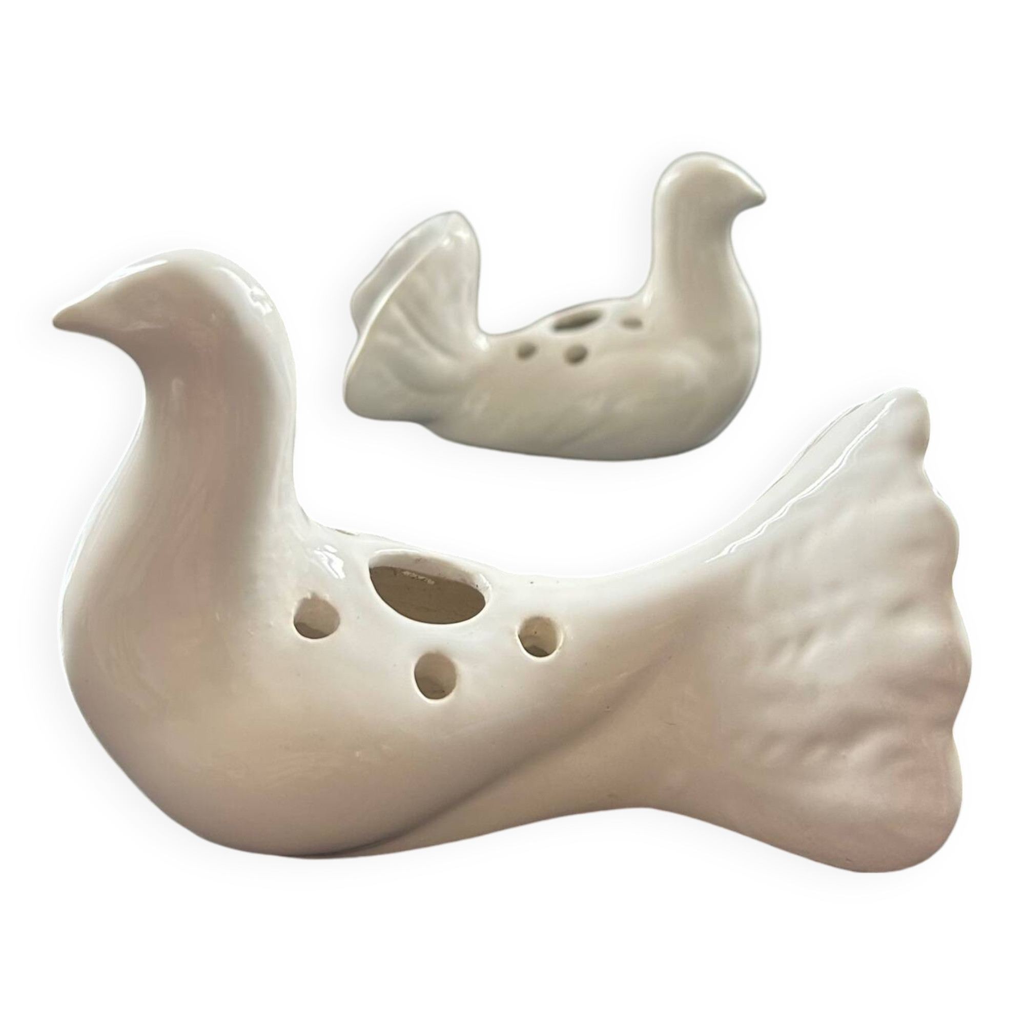 Duo of doves pecking flowers