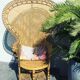Adult Emmanuelle armchair