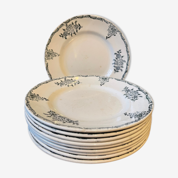 Lot de 10 assiettes plates Terre de Fer numérotées XIXème St Amand