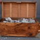 Navy in time camphor trunk late XIXth