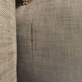 Pair of regency chairs