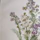 Planche botanique de 1897 - Polémoine Bleue - Gravure originale de fleur de Clemencet