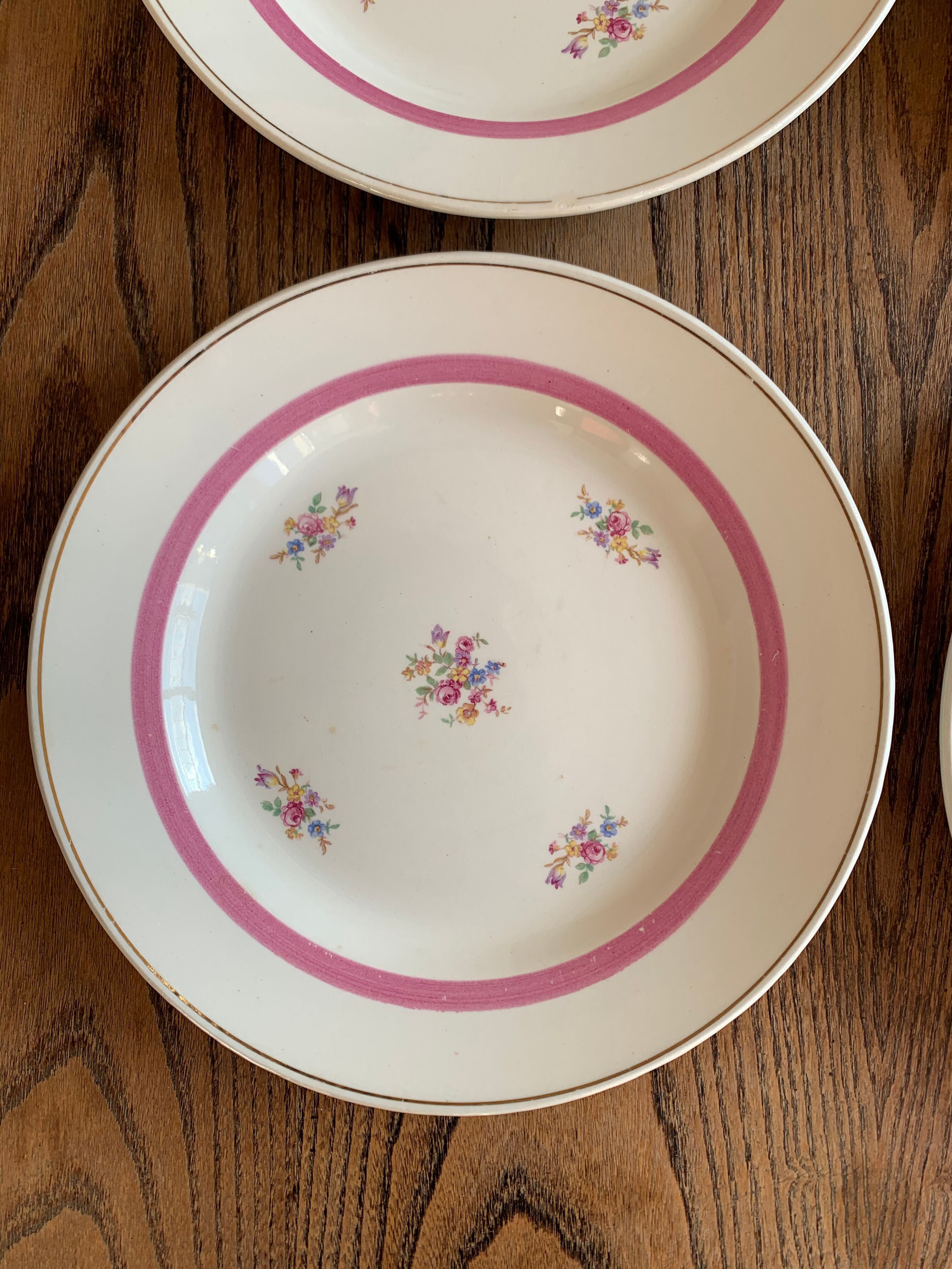 Lot of 6 plate Gien