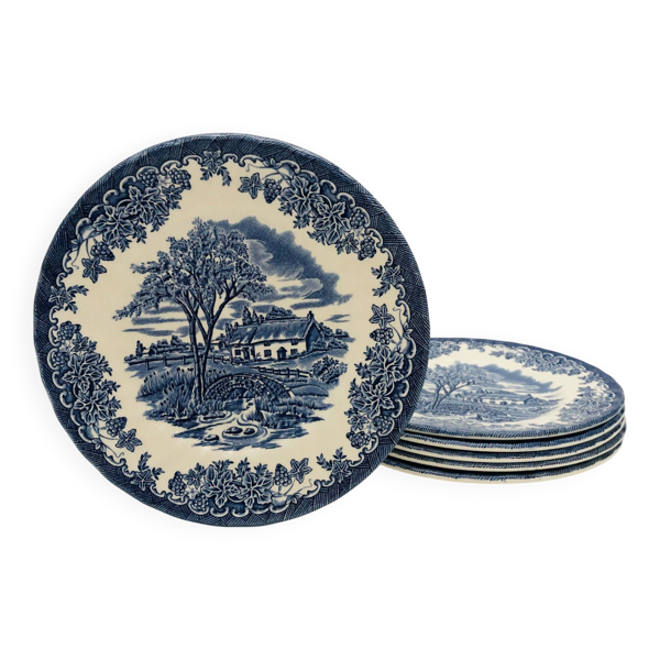 6 assiettes à dessert en faïence anglaise Myott Meakin