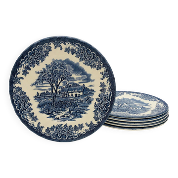 6 assiettes à dessert en faïence anglaise Myott Meakin
