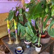 West Germany ceramic pot / bowl