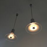 Pair of Murano Glass Pendants attr. to Alessandro Pianon for Vistosi