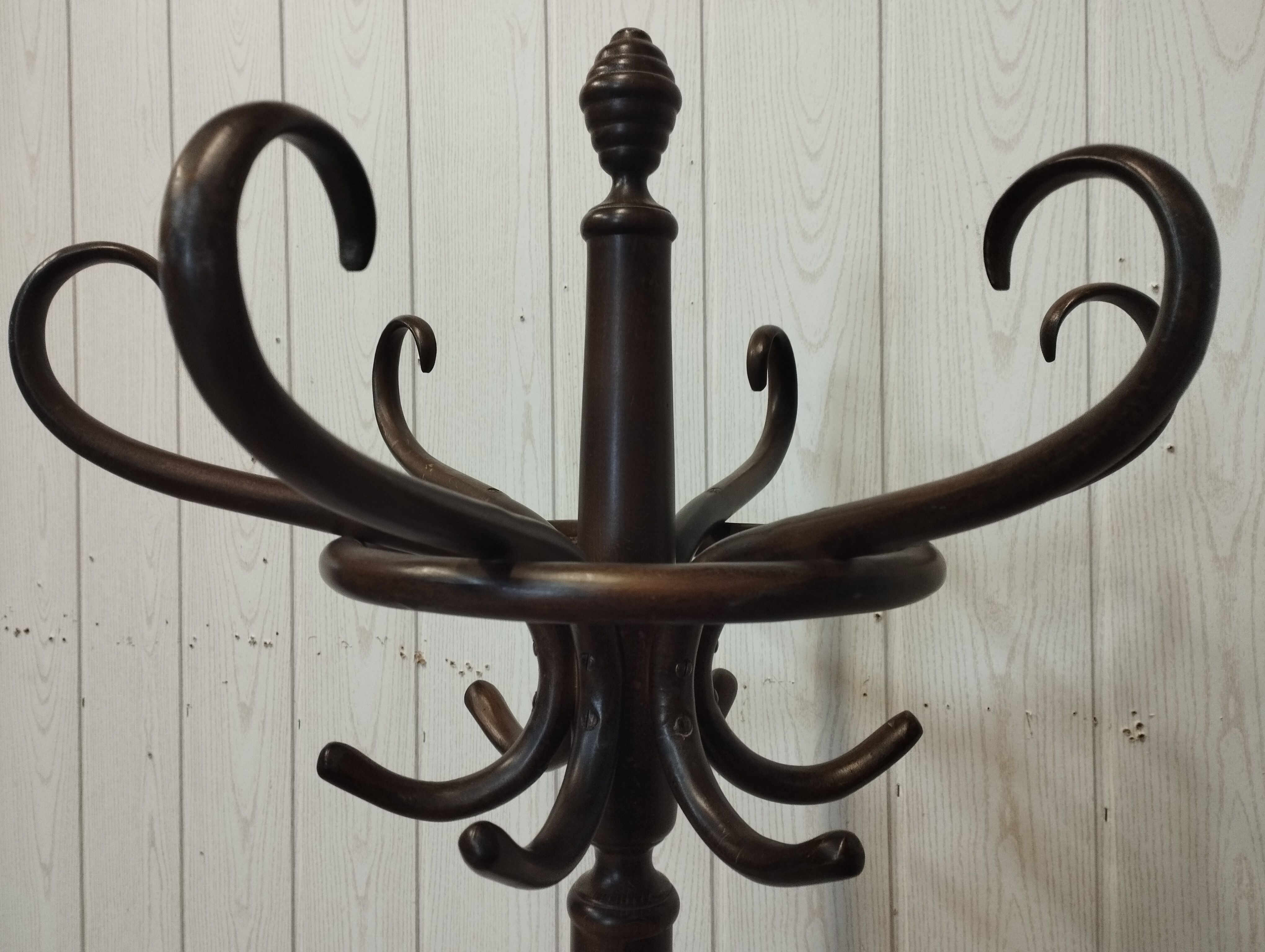 Bistro parrot coat rack ZPM Radomsko for Thonet