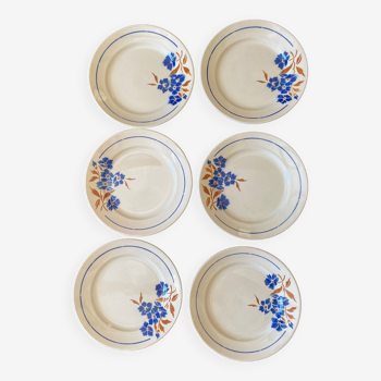 Assiettes plates Fleurs Marine Badonviller