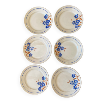 Assiettes plates Fleurs Marine Badonviller