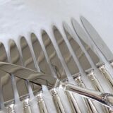 Set of 12 table knives in silver metal