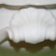 Large old 19 eme white porcelain tureen