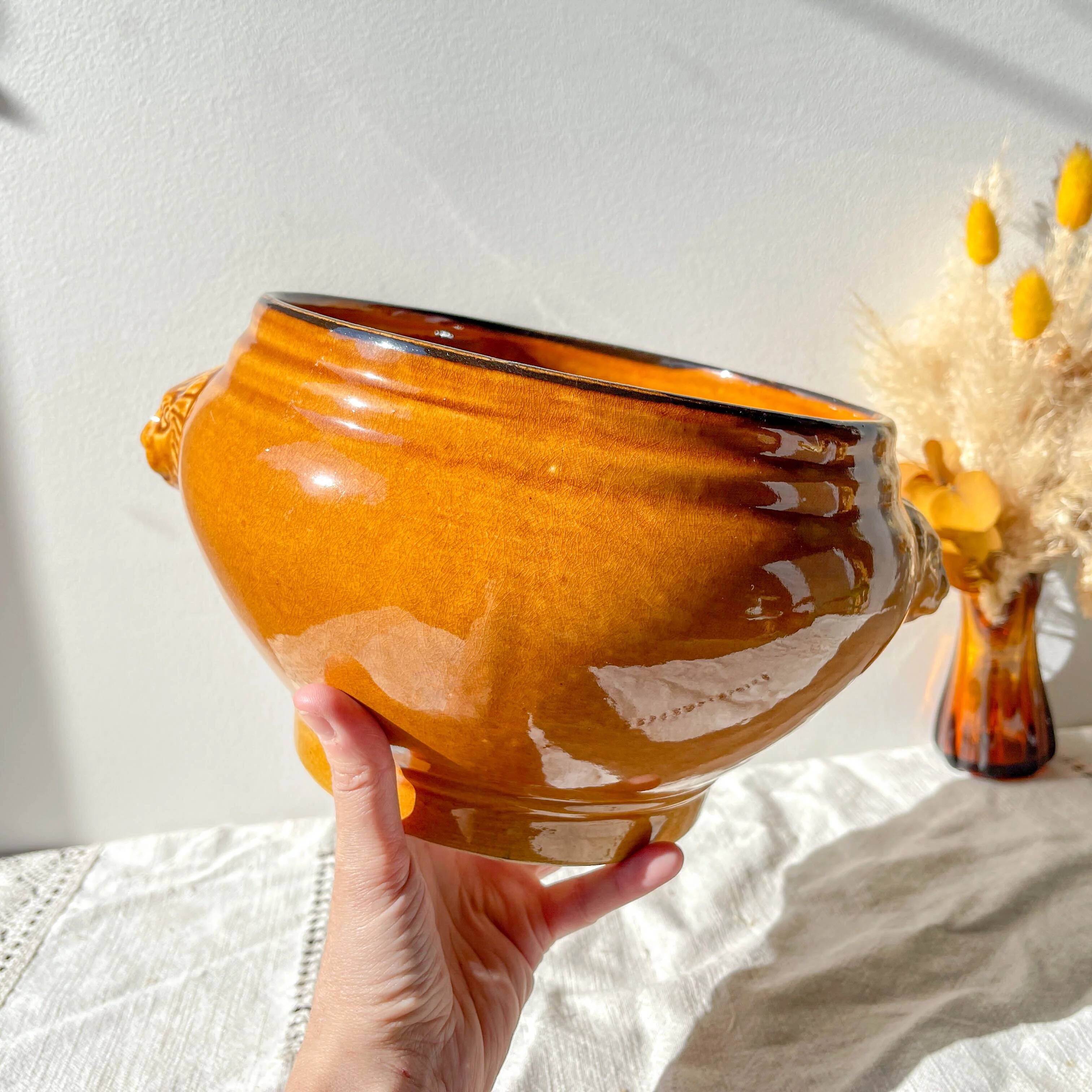 Vintage ceramic lion head soup tureen - honey and black, made in France