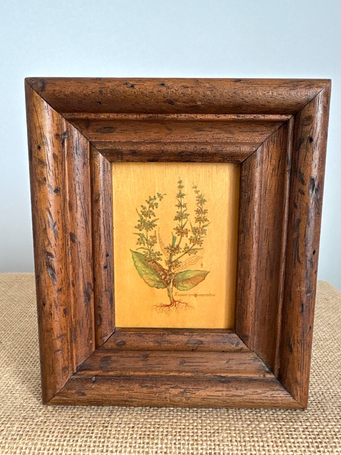 Set of 2 botanical decorative wooden frames, 13cm x 15.5cm