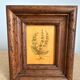 Set of 2 botanical decorative wooden frames, 13cm x 15.5cm