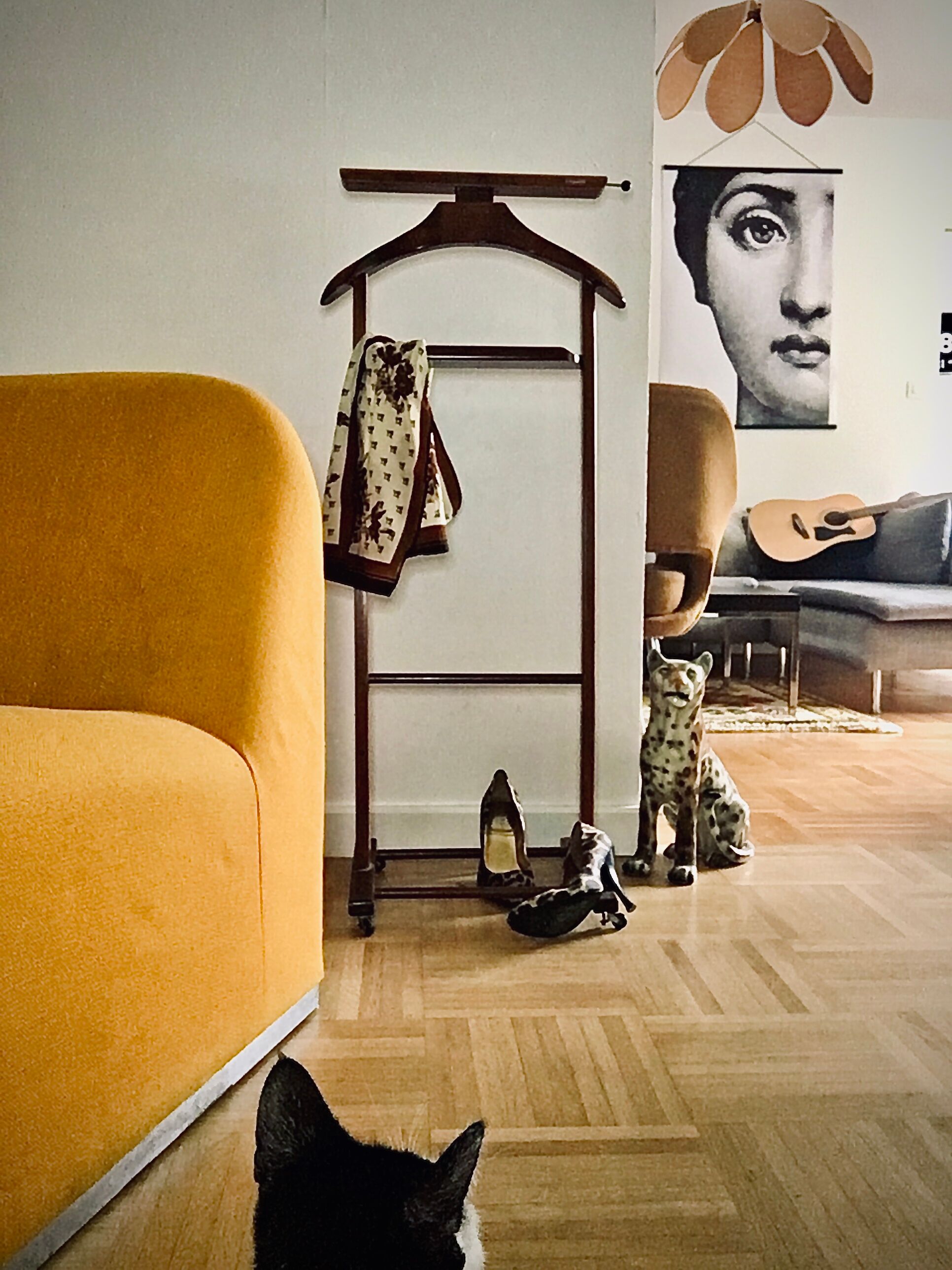 Night jack Fratelli Reguitti