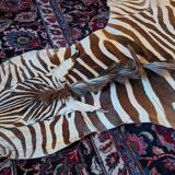 Real zebra skin rug