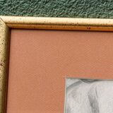 Pencil drawing, female nude