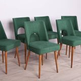 Polish Shell Chairs from Bydgoszcz Furniture Factory, 1960s, Set of 6