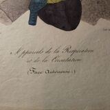 Planche médicale anatomie "Appareils de la respiration et de la circulation" double face
