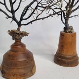 Pair of black fan corals on turned wooden base, Height 25 cm