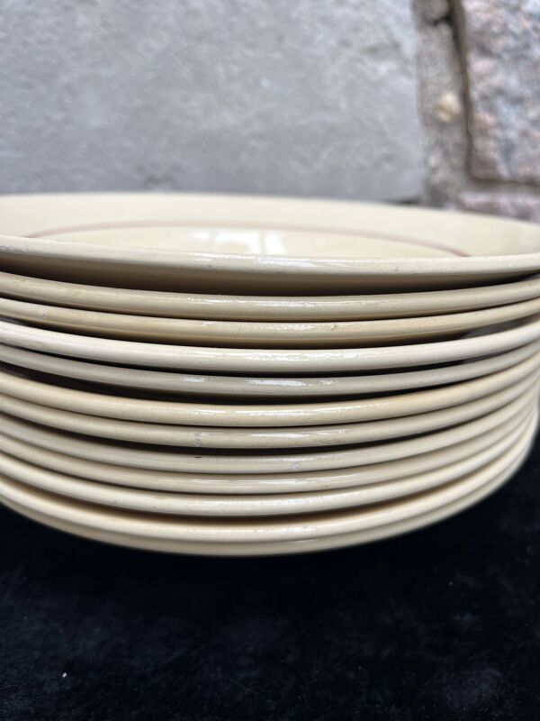 Set 12 assiettes creuses « Œillets » Badonviller