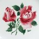 Large hollow dish "Cibon" Sarreguemines & Digoin