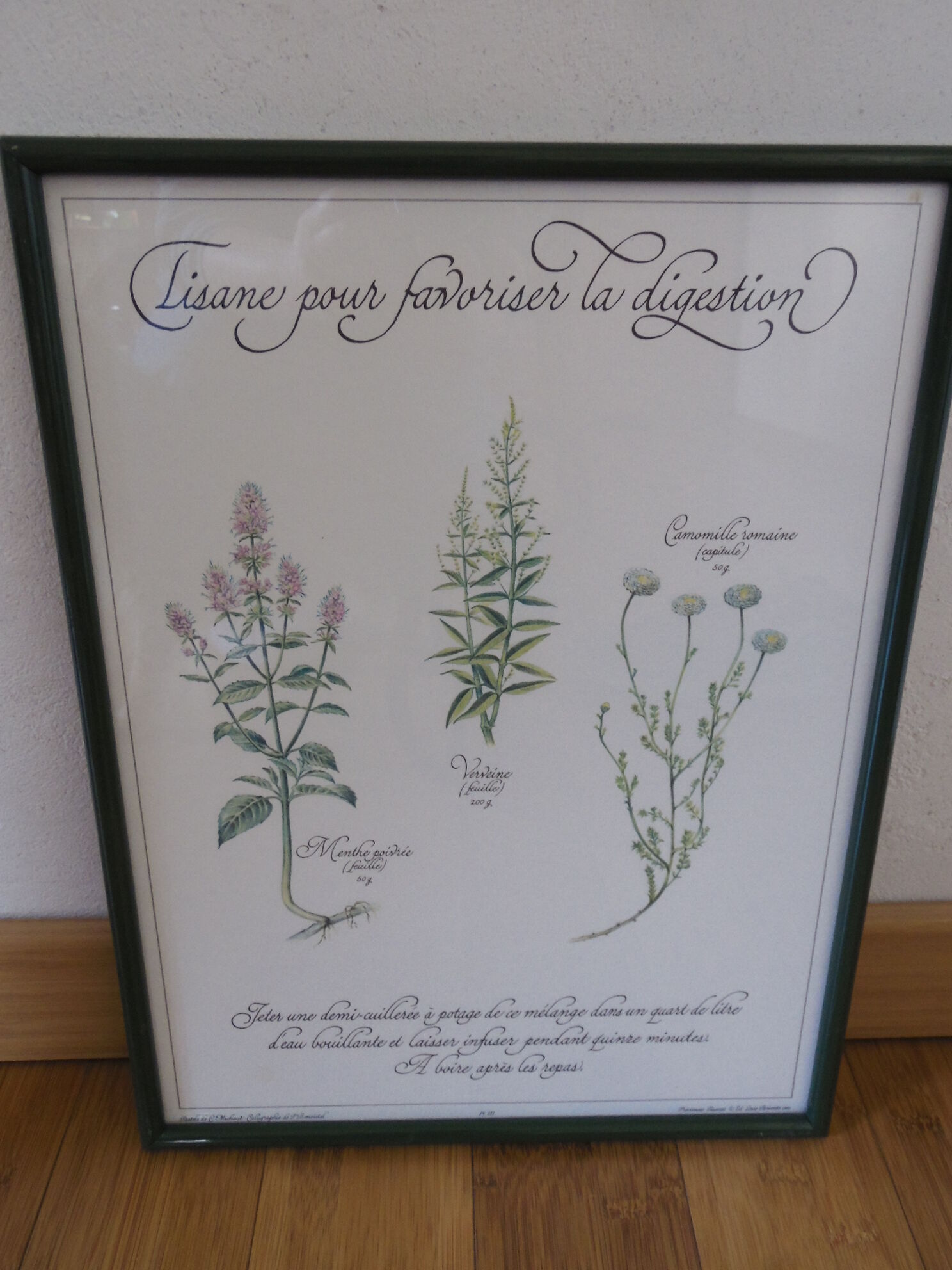 Botanical plate tisane for digestion, 1982 C Michaut