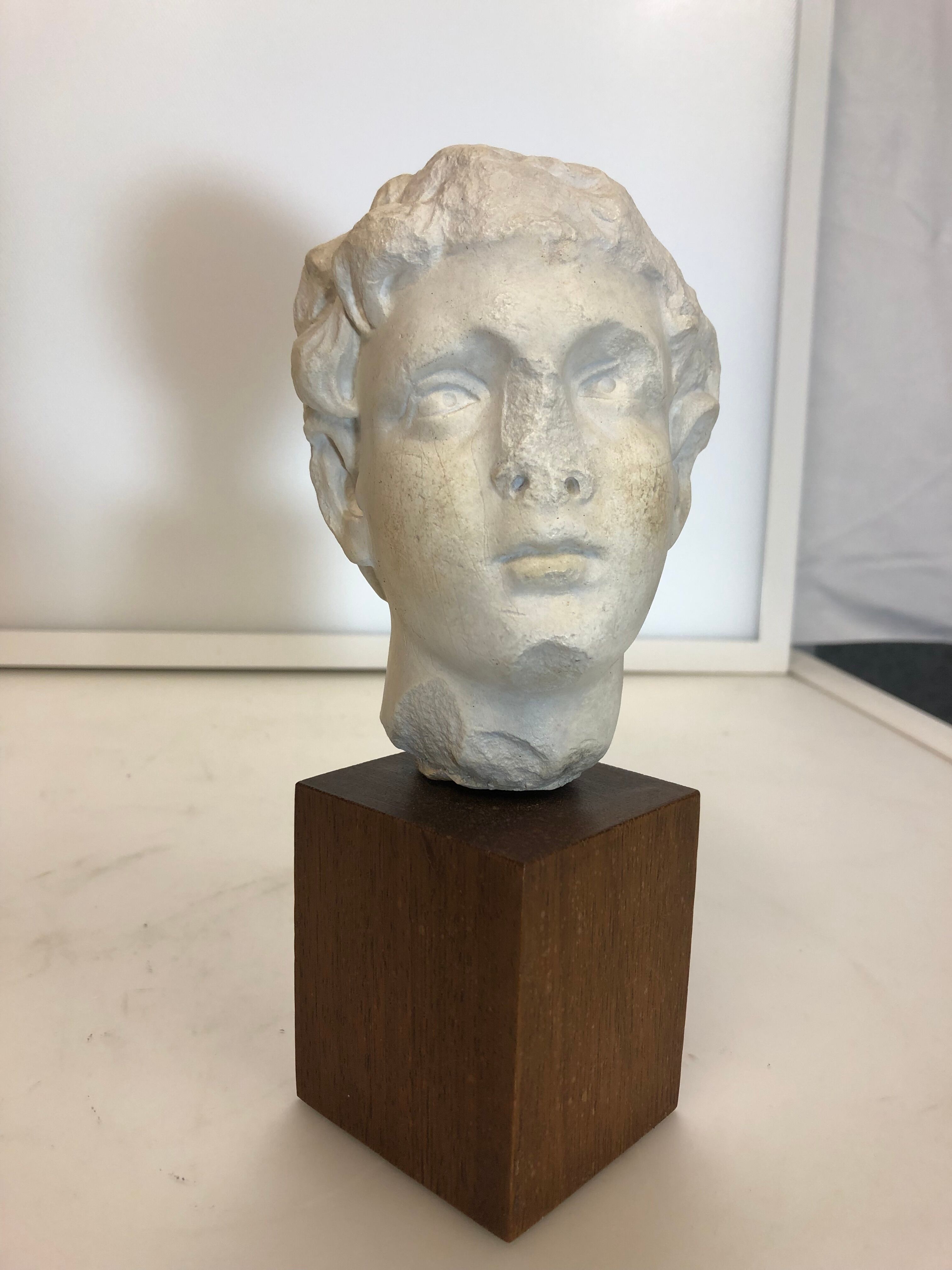 Statue bust roman man