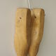 The wooden shoe 50