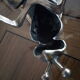 Cendrier mouche