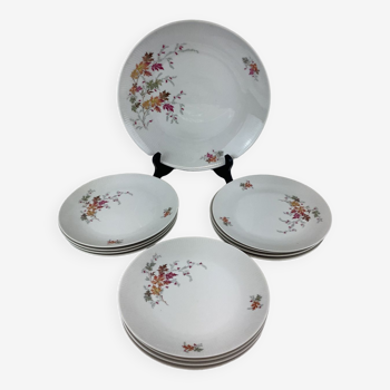 Bavaria Porcelain dessert service