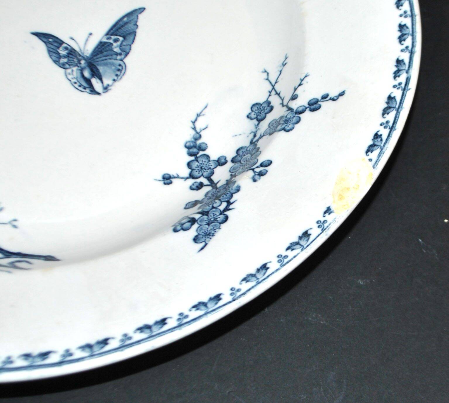 Sarreguemines round plate CARMEN blue butterfly dragonfly earthenware ironstone