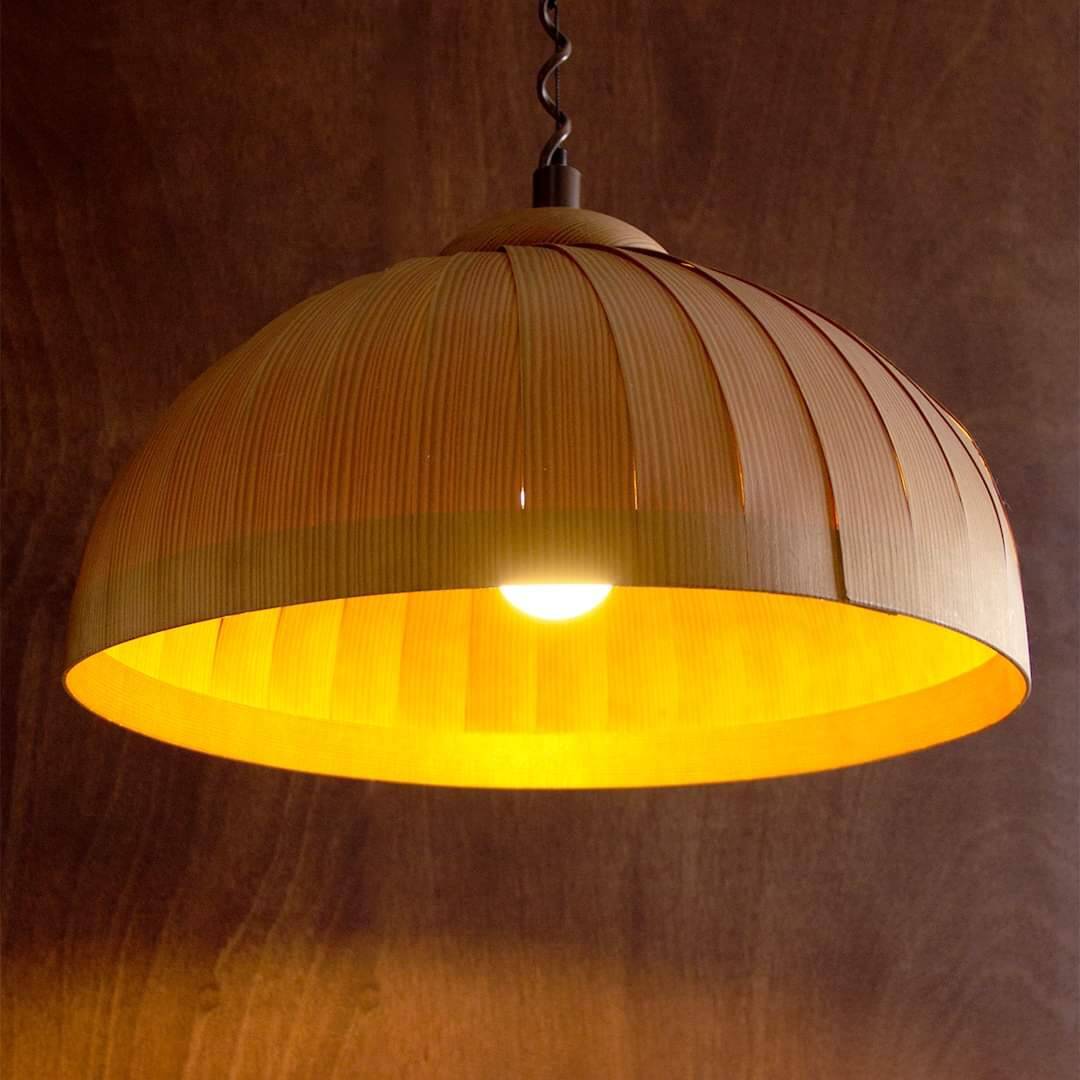 Danish vintage pendant light Hans Agne Jakobsson